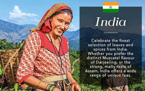 INDIA INDIA