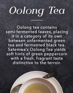 OOLONG TEA OOLONG TEA