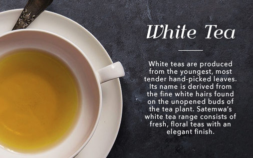WHITE TEA WHITE TEA