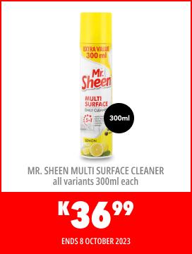 MR. SHEEN MULTI SURFACE CLEANER